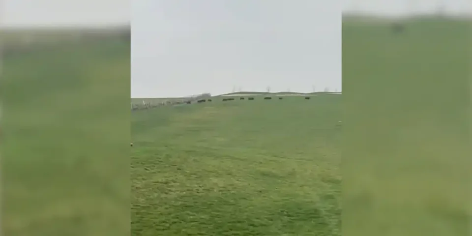 sangliers-golf-cambresis
