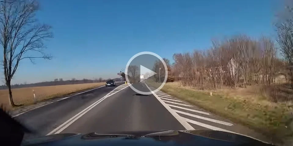 [Vidéo] Un cerf saute à une vitesse folle entre les voitures qui se croisent