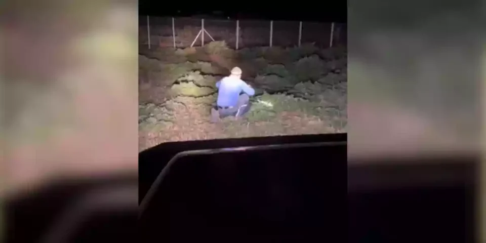 un-chasseur-essaie-dattraper-une-becasse