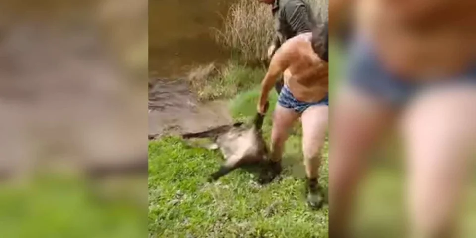 un-chasseur-traverse-un-cours-deau-a-la-nage-pour-recuperer-un-sanglier