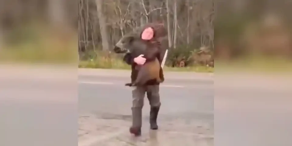 un homme traverse une route avec un sanglier dans ses bras