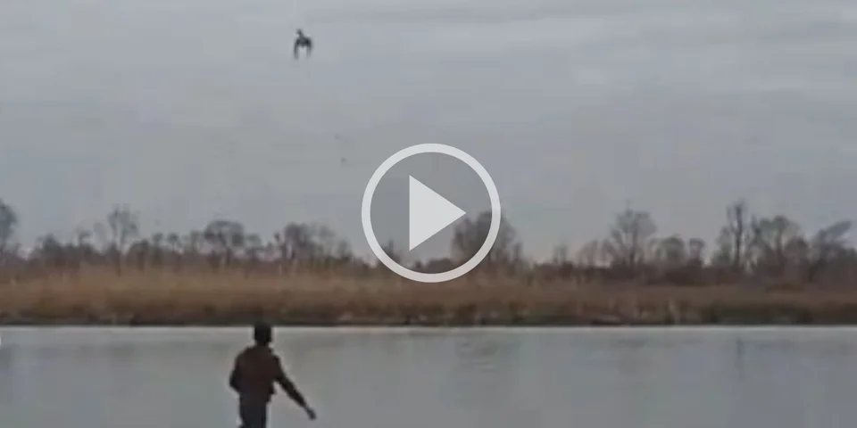 [Vidéo] Un chasseur de gibier d’eau laisse s’envoler un appelant qui revient directement