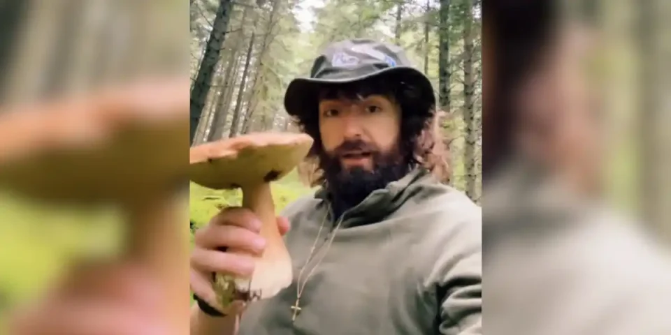 un ramasseur de champignon défend les chasseurs