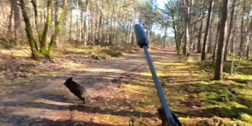 [Vidéo] Un sanglier de 80kg lui passe dans les bottes!