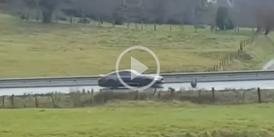 [Vidéo] Percuté par une voiture, un sanglier est projeté à plusieurs mètres mais se relève instantanément