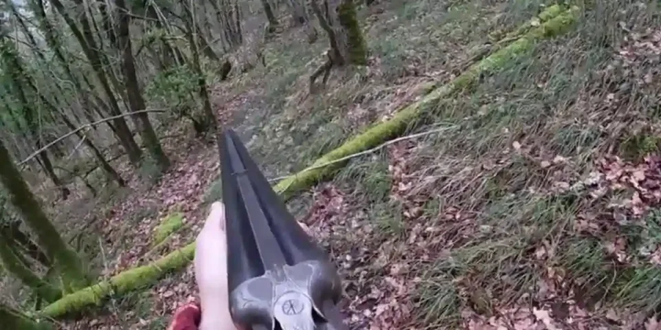 un sanglier tiré au drilling