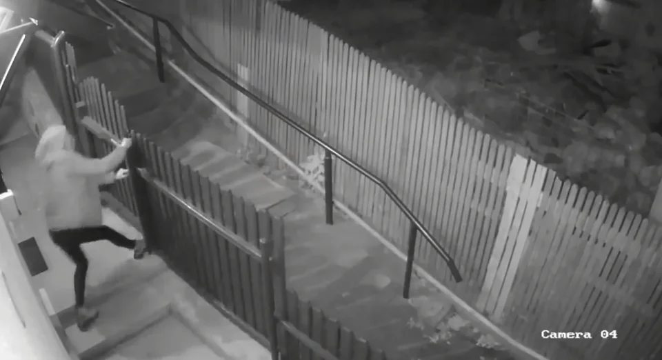 [Vidéo] Roumanie : une femme attaquée en pleine ville par des ours