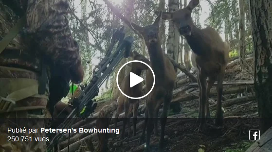 Vidéo : un archer très bien camouflé