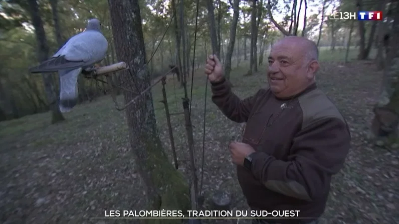 Magnifique reportage : la chasse en palombière, une tradition du Sud-Ouest