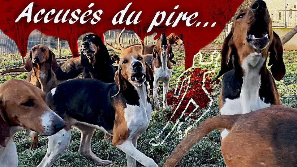 [Vidéo] Affaire Pilarski : 1 an de déchaînement médiatique…. pour rien