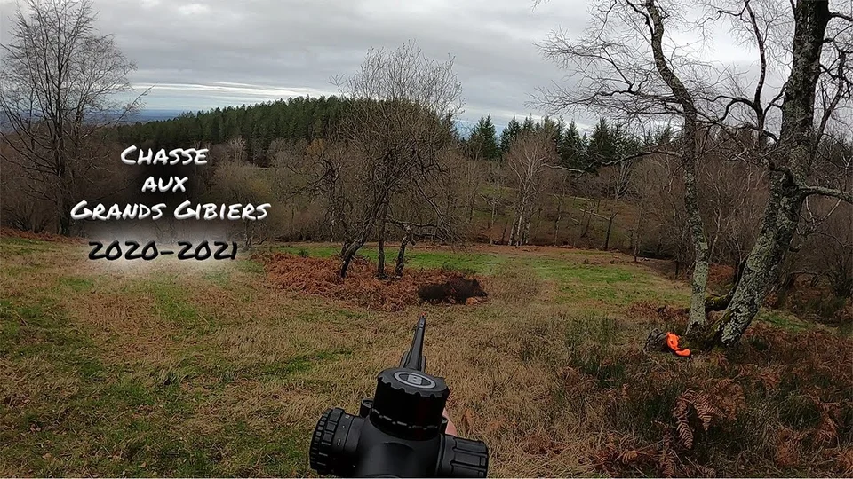 [Vidéo] Chasse aux grands gibiers : sangliers et cervidés