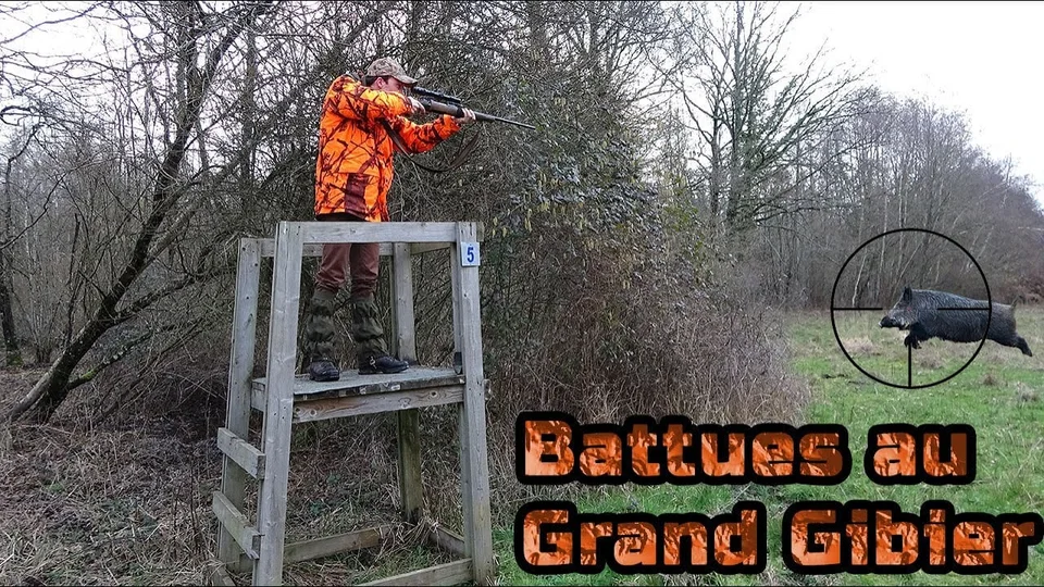 Vidéo : jolie vidéo de chasse en battue aux grands gibiers (sangliers, cervidés, chevreuils…)