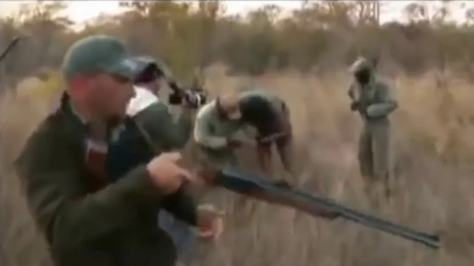 Vidéo : un léopard s’attaque à un guide en brousse