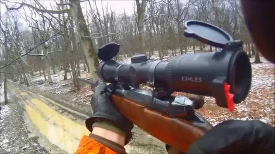 Vidéo : une journée de chasse aux sangliers de rêve