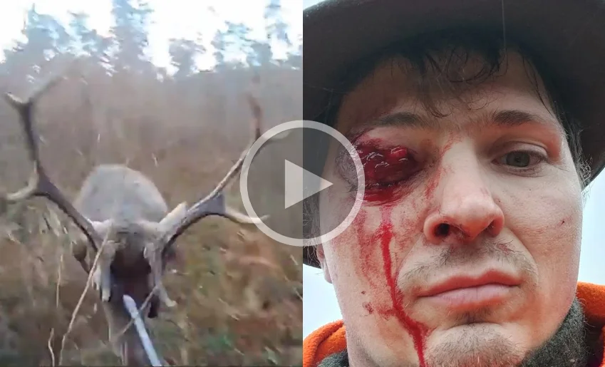 [Vidéo] Un chasseur gravement blessé par un cerf qui l’a percuté de plein fouet