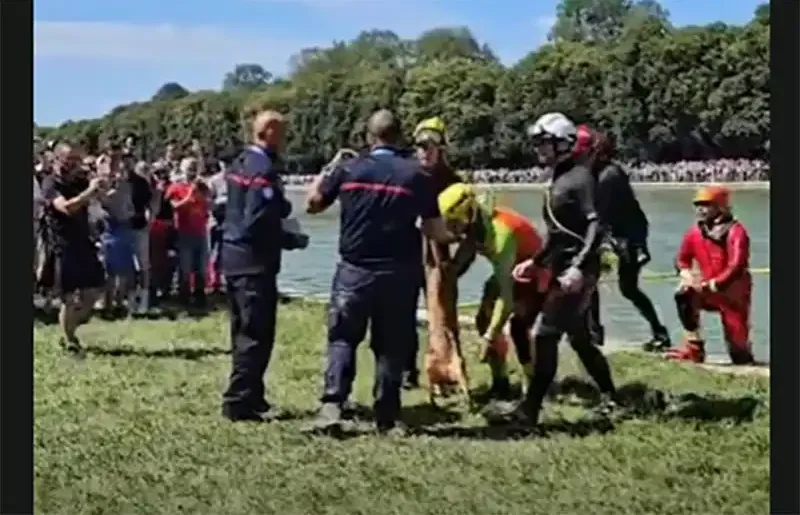 [Vidéo] Un chevreuil perturbe une épreuve des Jeux Olympiques