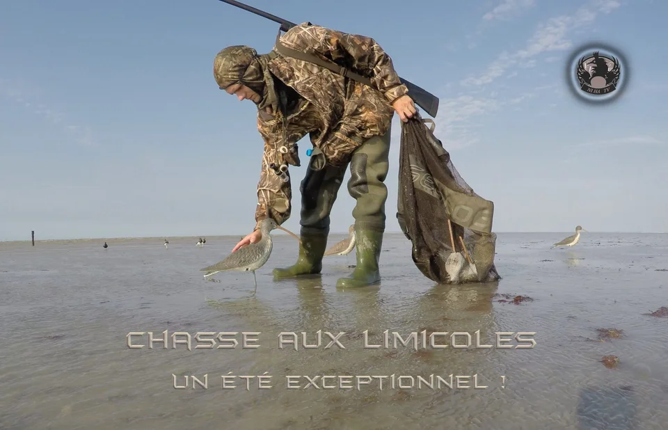 Vidéo : chasse au limicole en baie du Mont Saint Michel