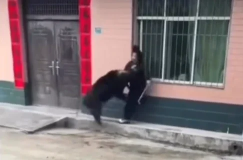 [Vidéo] Une femme sauvagement attaqué par un sanglier