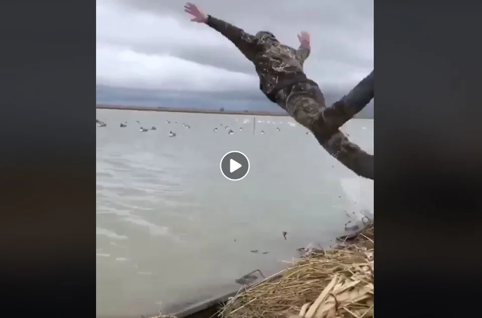 Vidéo : le collègue de hutte retriever !
