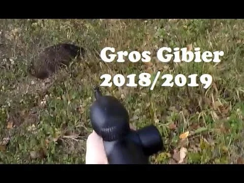 Vidéo : beaux tirs en battue