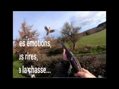 [Vidéo] Chasse au petit gibier avec des setters