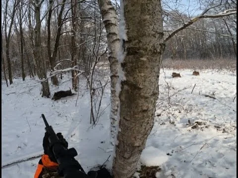 [Vidéo] Chasse en Moselle et triplé de sangliers