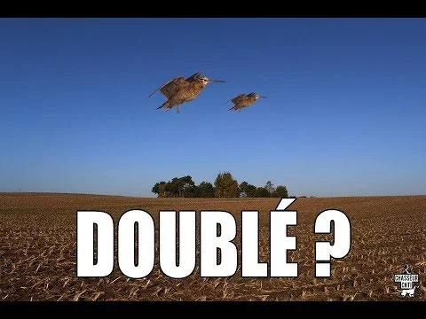 Vidéo : fermeture de la chasse en plaine