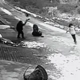 Vidéo : un sanglier attaque sauvagement un homme et une femme