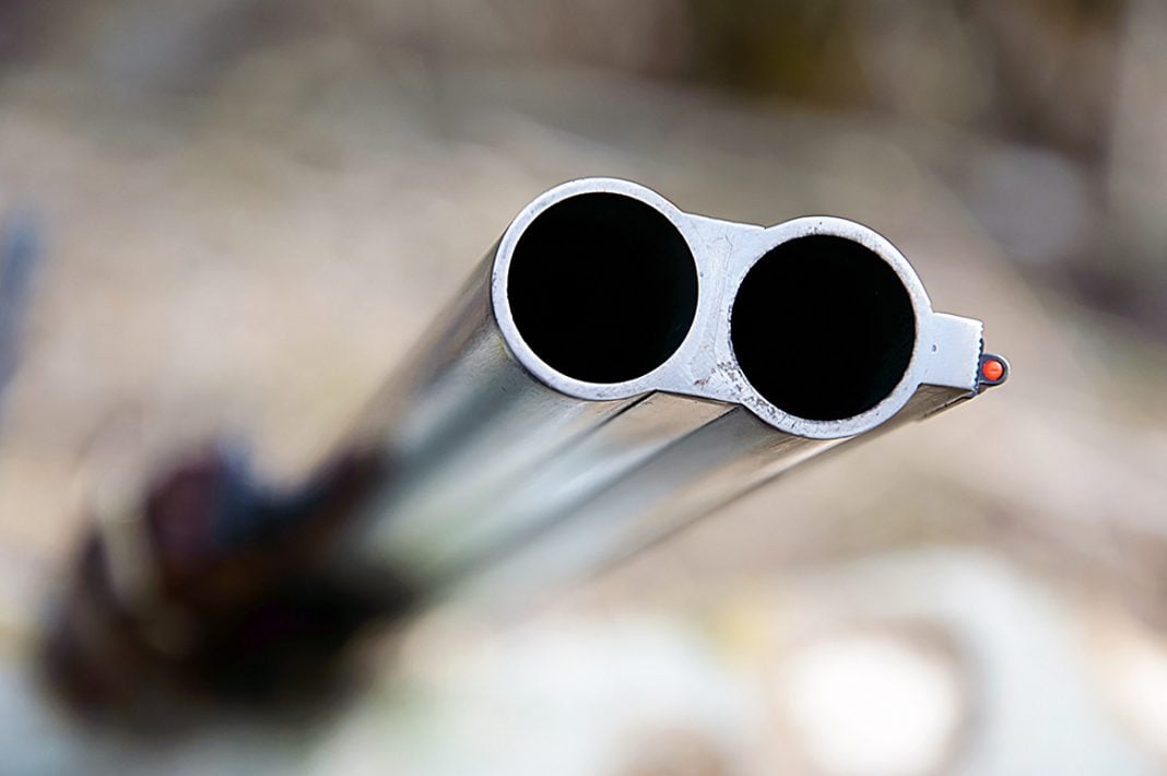 Les canons - Chasse Passion
