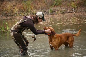 La chasse