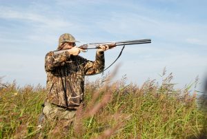 Chasse à l'affut