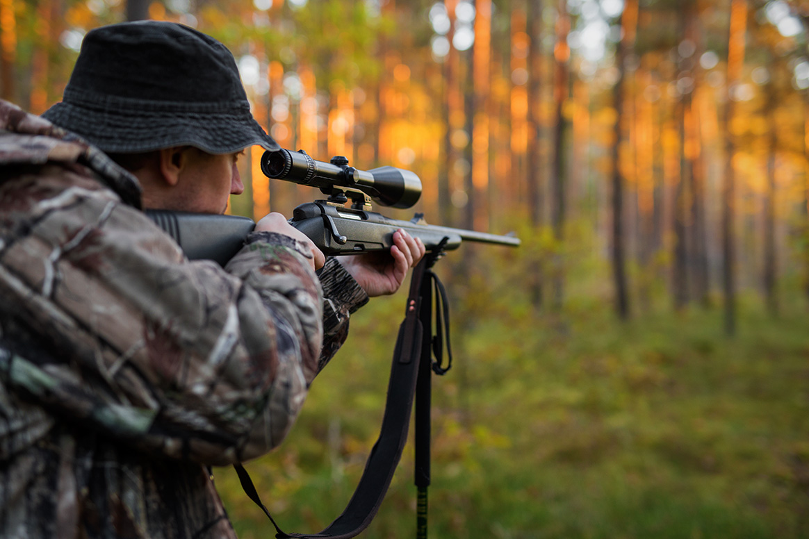 Pourquoi la chasse à l’approche/affût a-t’elle le vent en poupe ?