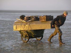 Chasse au hutteau ou cerceuil