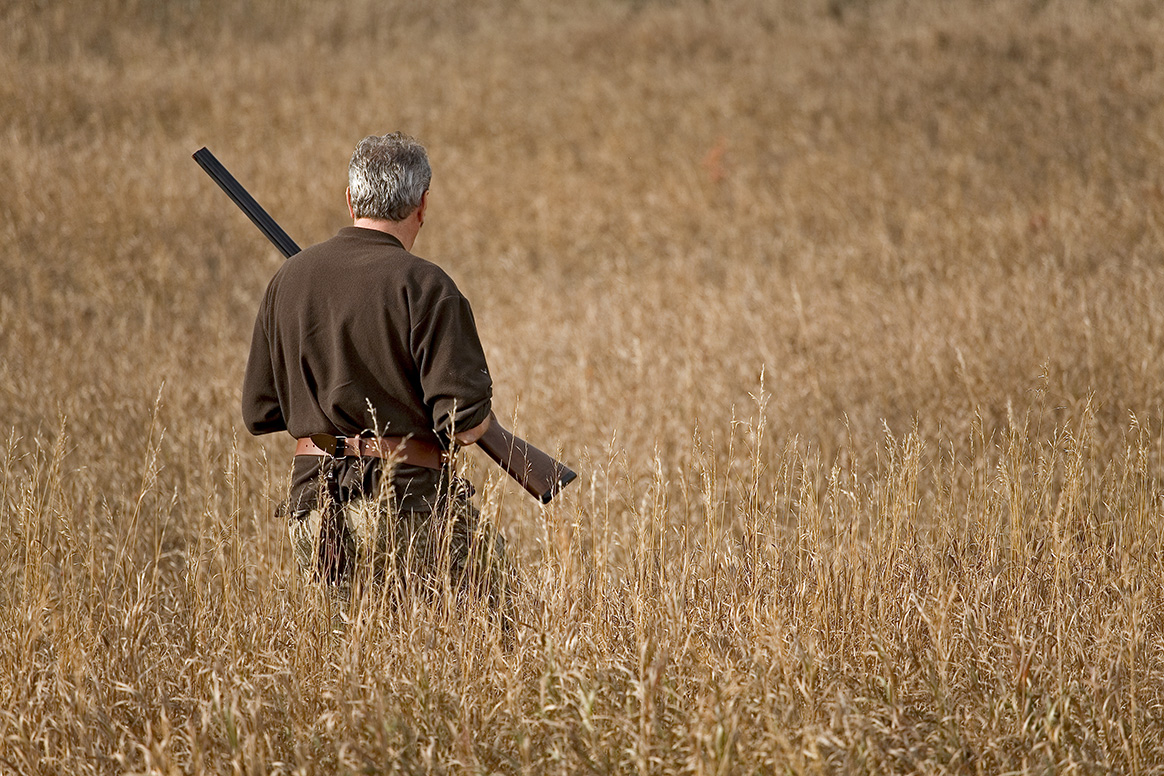 Chasse à la billebaude