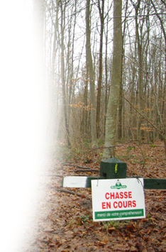 chasse en licence dirigée