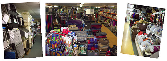 L'intérieur du magasin