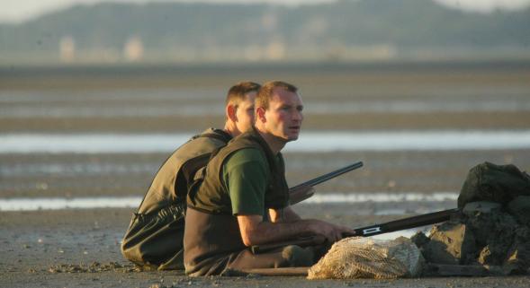 La chasse aux oies possible jusqu’au 9 février