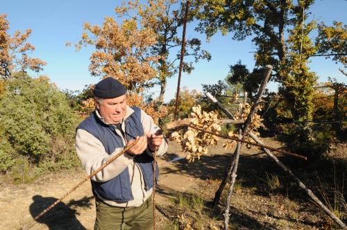 Vers la fin de la chasse à la glue ?