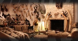 Savez-vous quel trophée de chasse il est impossible d’avoir en France?