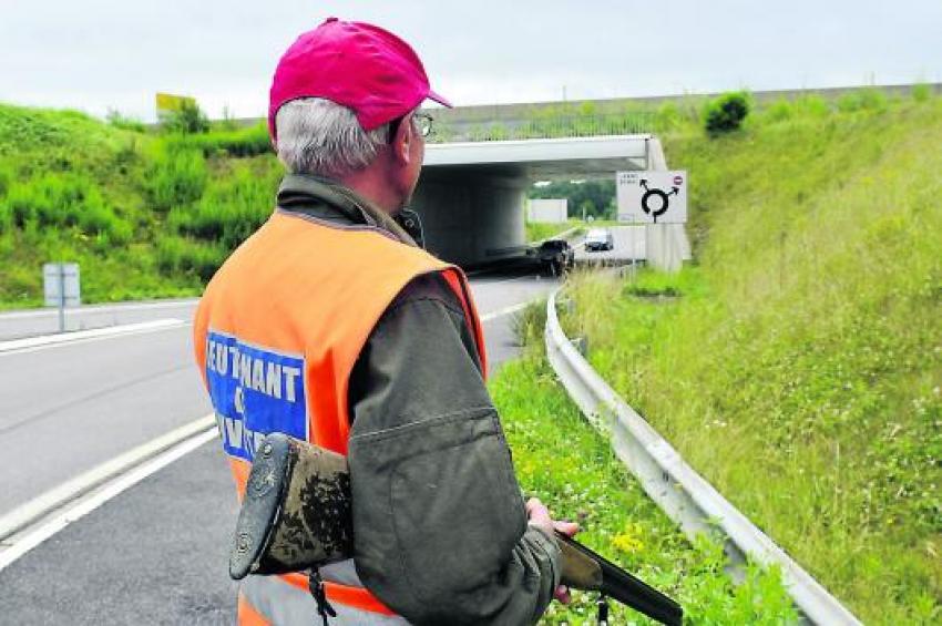 Hautes-Pyrénées : la RN21 fermée pour cause de battue administrative