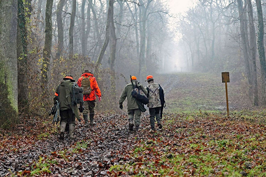 15 jours d’ITT pour un chasseur agressé en pleine battue