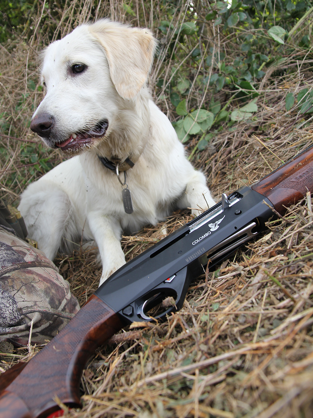 Test nouveau Benelli Colombo