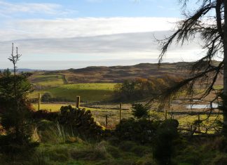 chasse-becasse-ecosse