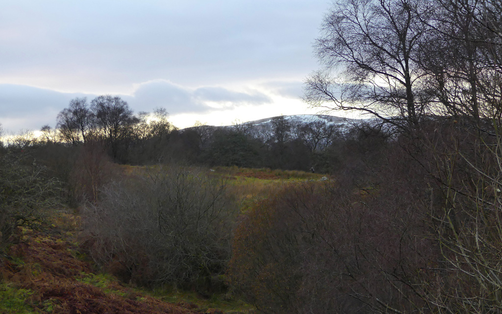 territoire-chasse-becasse-ecosse