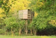 mirador-chasse