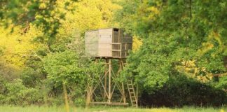 mirador-chasse