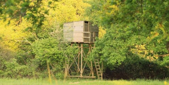 Un chasseur retrouvé mort au pied d’un mirador en Haute-Marne