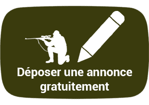 petite annocne chasse gratuite