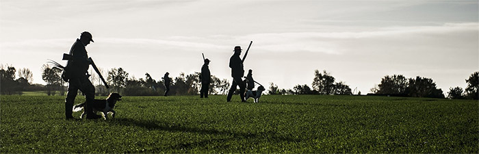 chasse à la journée : 350 territoires de chasse