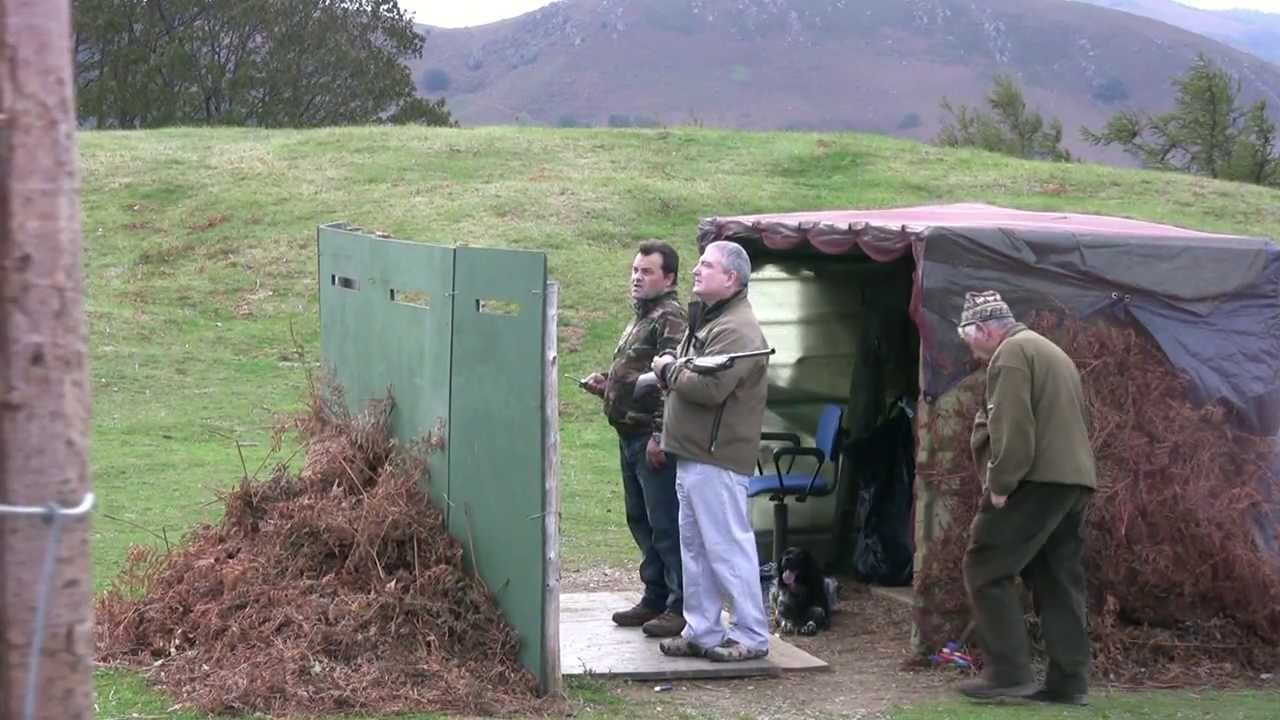 Vidéo : chasse à la palombe dans les cols